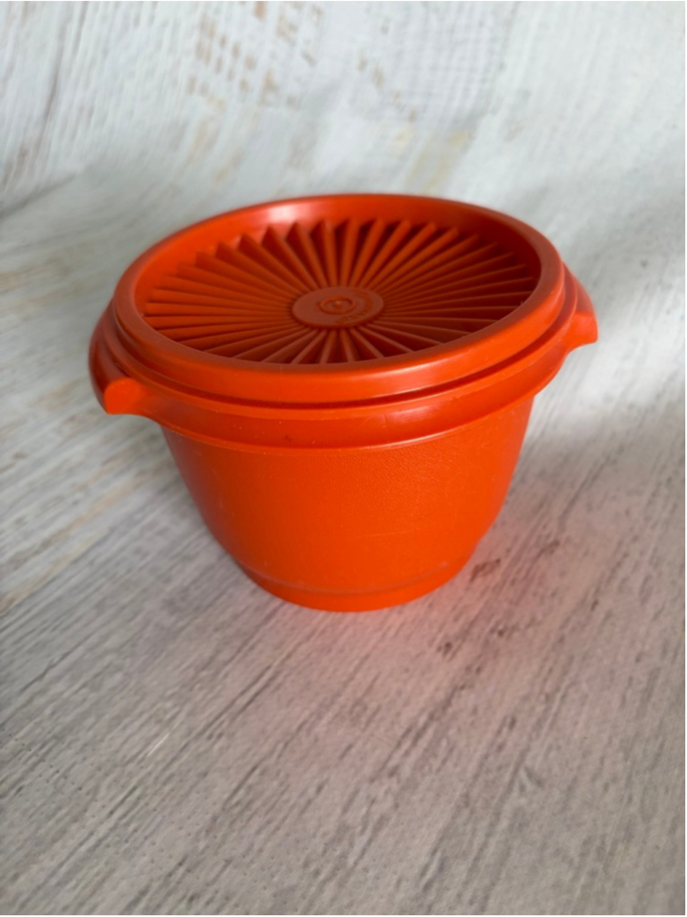 are Orange Food Storage Container One Size